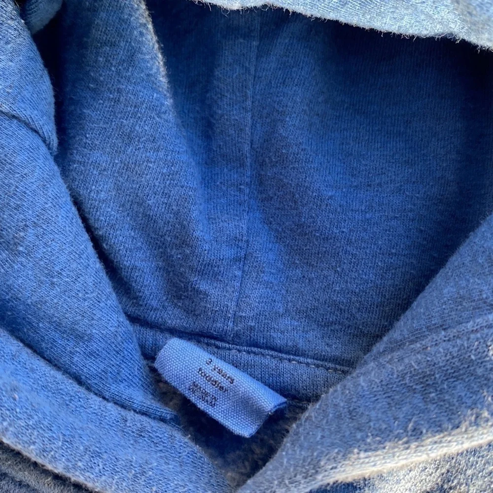 GAP 3T Graphic Ombre Hoodie Sweatshirt Easy Tiger